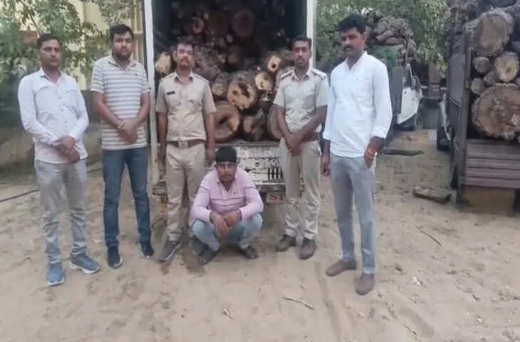 Jhunjhunu से हरियाणा जा रही थी 30 क्विंटल प्रतिबंधित खेजड़ी की लकड़ी, डाक पार्सल के जरिए हो रही थी तस्करी