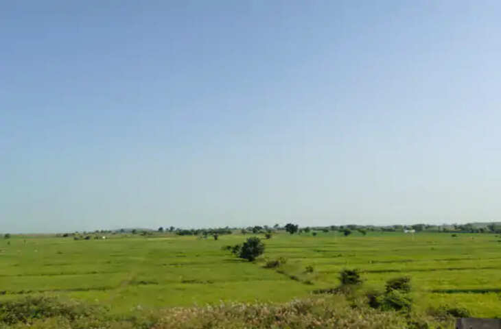 मानसून विदा होते ही रायसेन में बदला मौसम, दिन में तेज धूप तो रात में बढ़ी ठंडक; सेहत पर भी असर