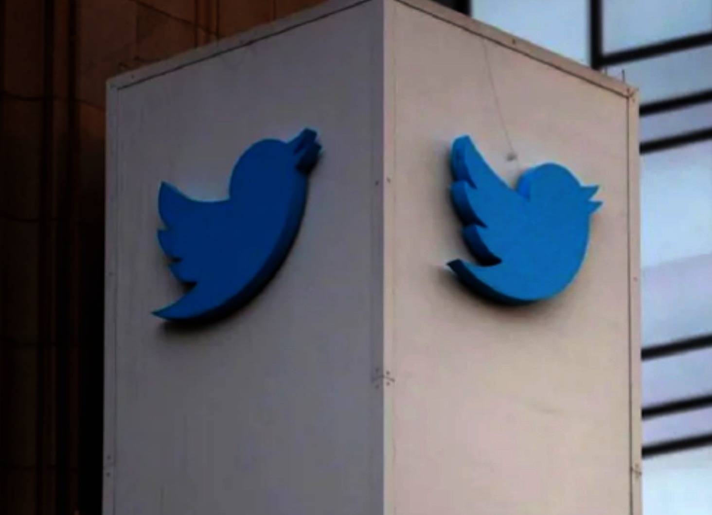 Twitter Auction: From Twitter logo to table and chair, Musk is going to ...