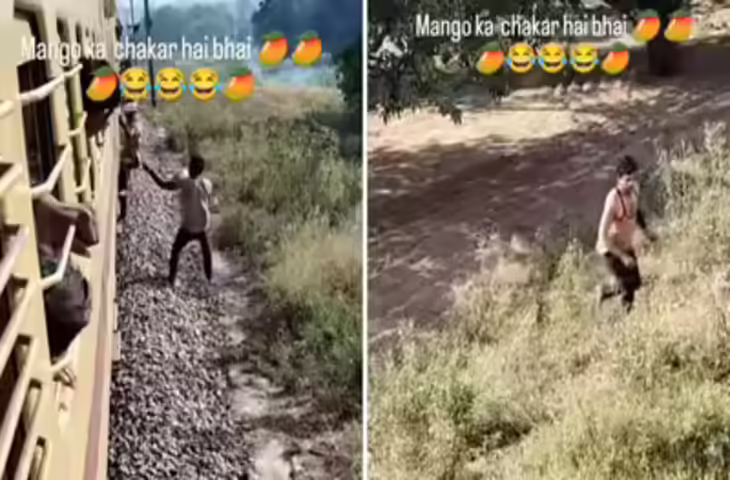 Viral Video: आम के चक्कर में फंसा यात्री, लालच का अंजाम देखकर नहीं रुकेगी आपकी हंसी&nbsp;