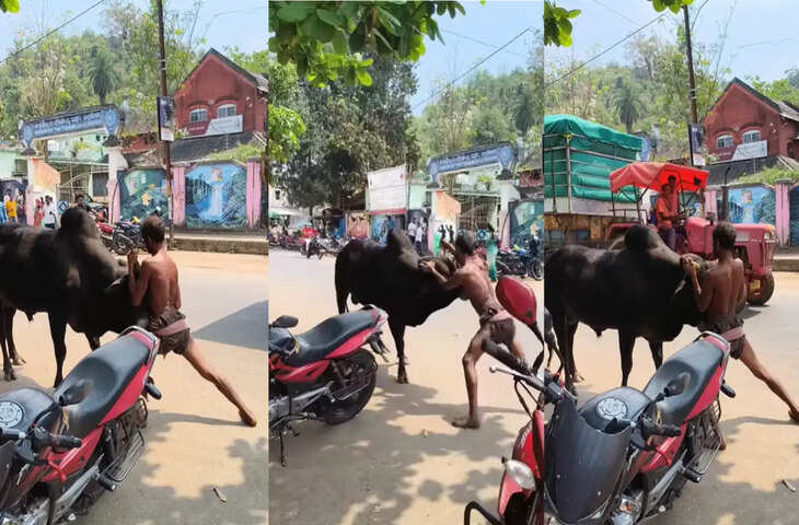 बीच सड़क पर शख्स ने किया सांड को काबू, बाहुबली स्टाइल मूव्स सोशल मीडिया पर वायरल&nbsp;