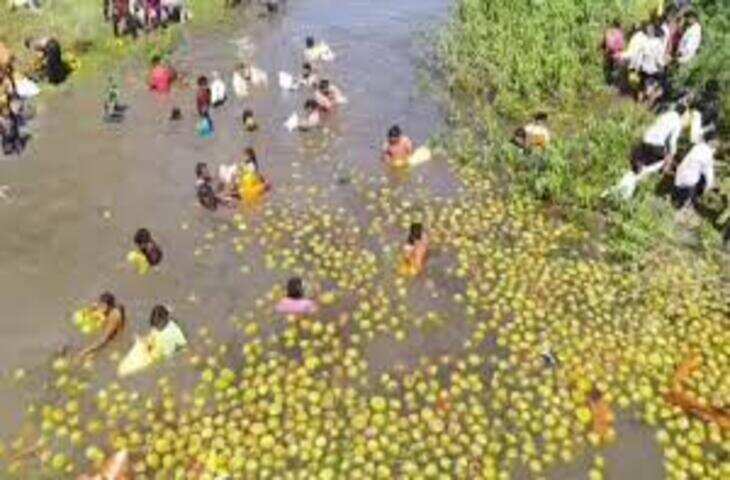 &lsquo;मुफ्त में मिल रहा हो तो नाला ही सही...' ट्रक पलटते ही लूटने के लिए टूट पड़ी भीड़, वीडियो वायरल&nbsp;