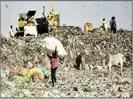 Madhubani निगम लोगों के घरों के कचरा को सीधे पहुंचाएगा डंपिंग स्थल
