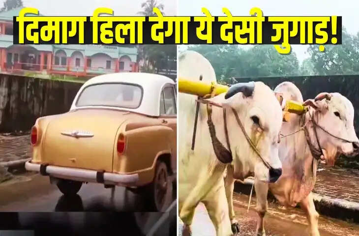 पीछे से कार, आगे से बैलगाड़ी; देसी जुगाड़ देख चकराया लोगों का दिमाग, देखें Video