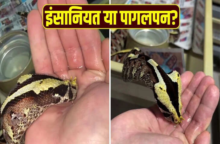 शख्स ने जहरीले सांप को चुल्लू से पिलाया पानी, हैरान रह गए लोग