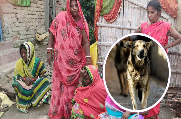 आवारा कुत्तों के झुंड ने बुजुर्ग को नोच-नोच कर मार डाला, DJ की आवाज में दब गई चीखें 9 ho