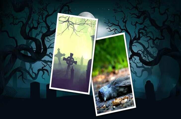 आप भी जरूर जाएं असम की इन सबसे डरावनी जगहों पर