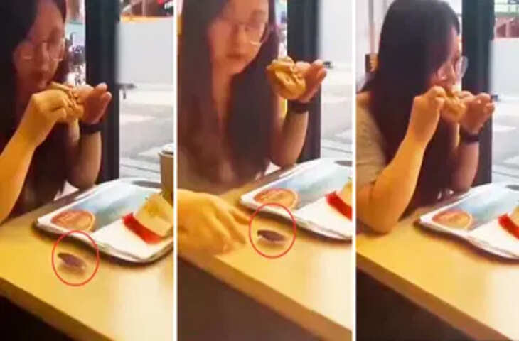 रेस्टोरेंट में बर्गर खाते वक्त युवती को दिखा कॉकरोच, फिर.... वीडियो ने चौंकाया