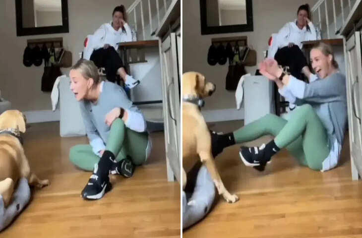 लड़की ने कुत्ते से कहा &lsquo;आई लव यू&rsquo;, जवाब में डॉगेश भाई ने कह दिया कुछ ऐसा की मिनटों में वायरल हो गया वीडियो&nbsp;