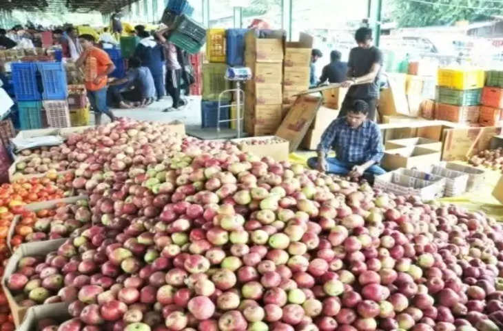 Kullu कुल्लू सेब बागवानों के बचाव में उतरे हिमाचल के युवा
