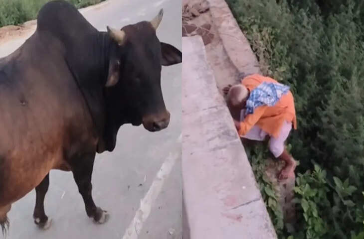 &lsquo;आगे कुआं, पीछे खाई&rsquo; जैसा सीन, वायरल वीडियो देख दंग रह गए लोग