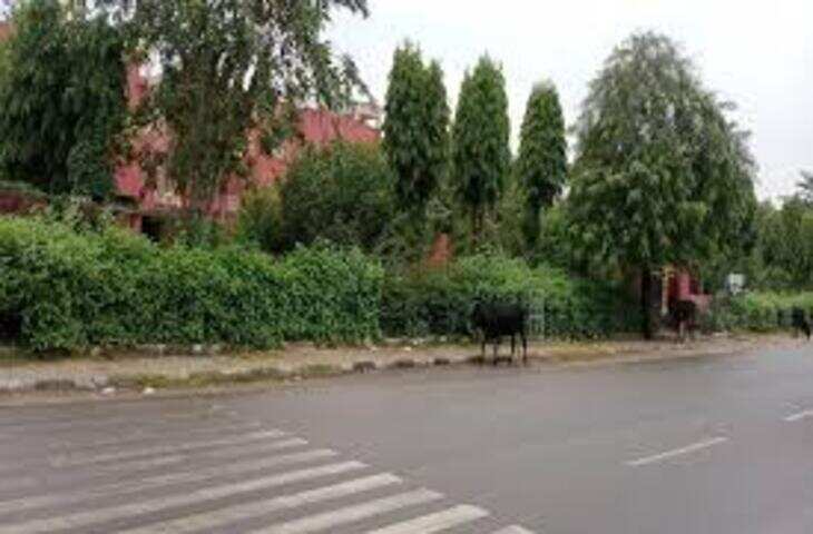 जयपुर में इंद्रदेव की मेहरबानी, बारिश से मौसम हुआ सुहावना, तापमान में गिरावट