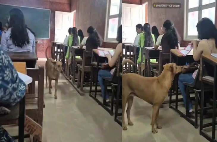'डोगेश भाई' ने क्लास में लेक्चर के बीच ली एंट्री, देख लड़कियों छूपाने लगी स्माइल