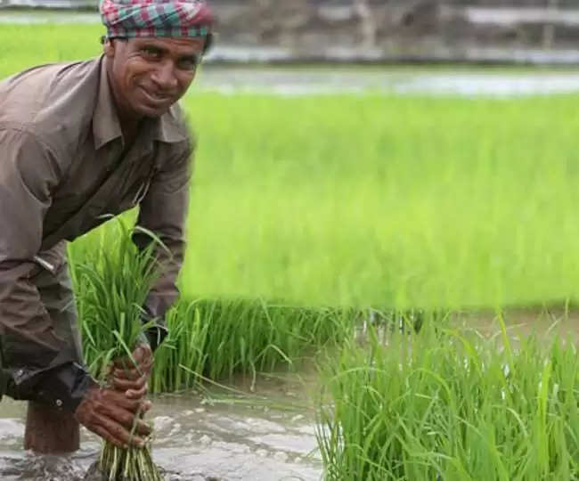 Faizabad दुग्ध उत्पादन से किसान बढ़ा सकते हैं आय