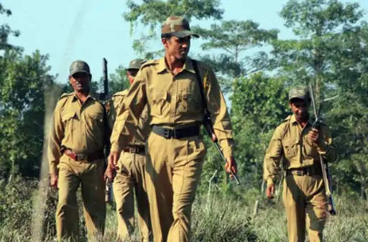 वन विभाग में 28 साल पुरानी भर्ती की दोबारा जांच, वनरक्षकों की फिर होगी हाइट माप; कम मिली तो नौकरी पर संकट