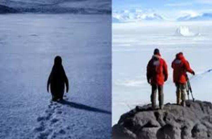 &lsquo;Nihilist Penguin Trend&rsquo; सोशल मीडिया पर वायरल, फनी मीम्स और डीप कैप्शन्स ने मचाया धमाल