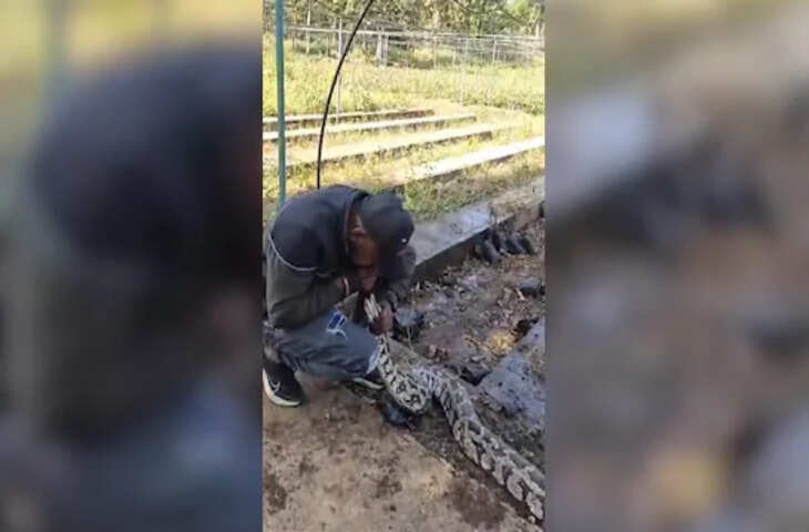 अजगर की धड़कनें थम चुकी थीं…भाई ने मुंह से CPR देकर बचाई जान, इन्टरनेट पर वायरल हुआ वीडियो 