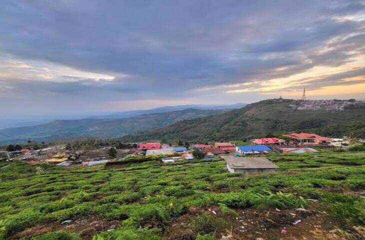 भीड़भाड़ से दूर सुकून की तलाश? वेस्ट बंगाल का 'Land of White Orchids' अक्टूबर में घूमने के लिए है परफेक्ट