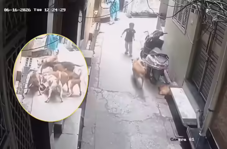बच्चे पर आवारा कुत्तों के हमले का वीडियो वायरल, सोशल मीडिया पर छिड़ी बहस