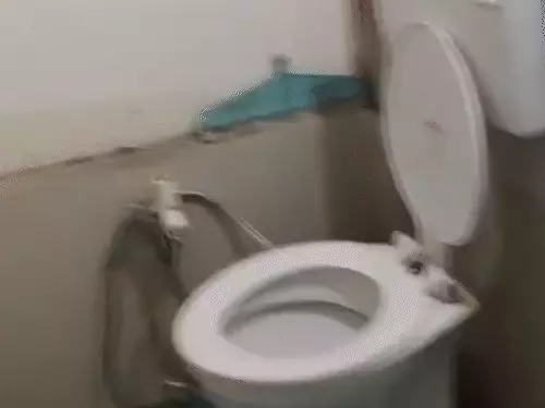 गोरखपुर के गर्ल्स हॉस्टल में बाथरूम में कैमरा लगाने का आरोप, छात्रा की सूचना पर पहुंची पुलिस