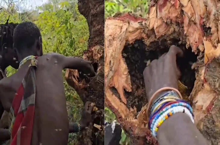 जनजाति के वीर हाथों का अद्भुत कारनामा! मधुमक्खी के छत्ते में हाथ डालकर निकाला शहद, वोडो देख निकल गई आम जनता की चीख&nbsp;