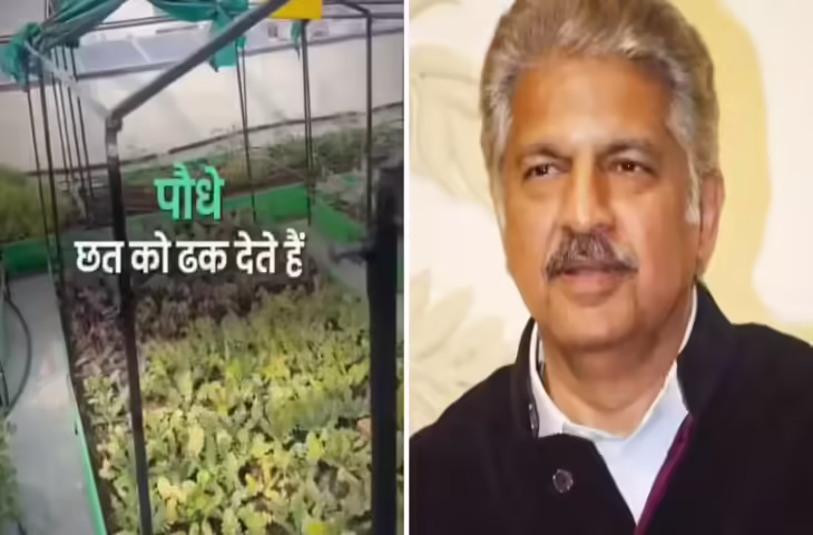 बिना AC के घर को रखा जा रहा ठंडा! जयपुर की देसी तकनीक देख आनंद महिंद्रा भी हुए प्रभावित