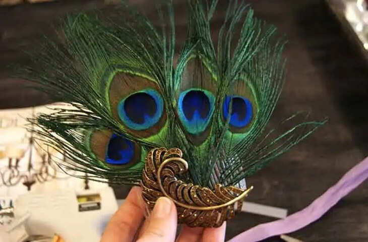 peacock feather benefits for money and wealth remedies of peacock feather