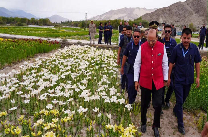 लद्दाख में 10,600 फीट की ऊंचाई पर खिले 25 लाख फूल, दुनिया के सबसे ऊंचे ट्विन फ्लावर फील्ड्स का उद्घाटन