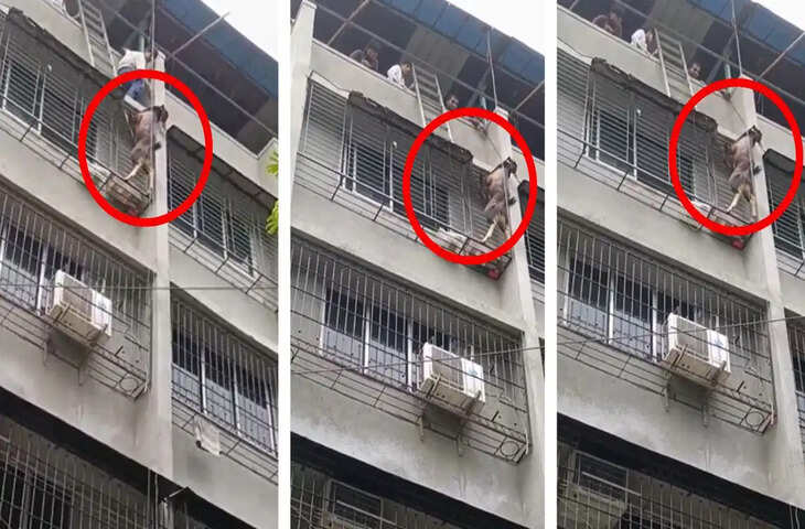 मुंब्रा में तीसरी मंजिल से लटका बकरा, जान बचाने के लिए जुटे लोग; वायरल वीडियो ने मचाई हलचल