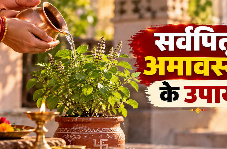 सर्वपितृ अमावस्या पर करें तुलसी जी से जुड़ा ये उपाय, पितरों होंगे प्रसन्न बरसेगी श्रीहरि की कृपा