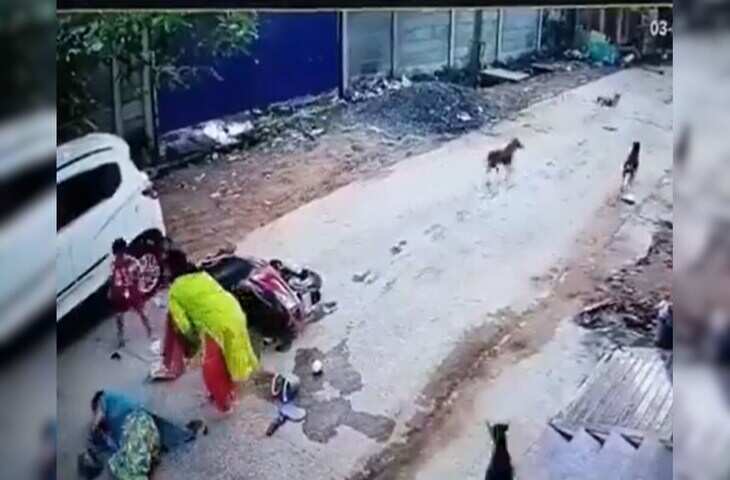 Viral Video: सड़क पार करते कुत्ते से टकराई तेज रफ्तार बाइक, दर्दनाक पल देख खड़े हो जाएंगे रौंगटे&nbsp;
