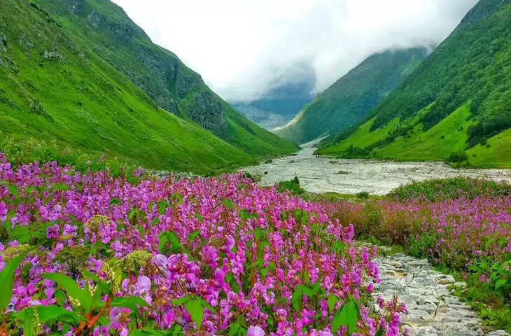बारिश आते ही निखर उठती है उत्तराखंड की खूबसूरती! जानिए उन जगहों के बारे में जहां कम बजट में मिलेंगे स्वर्ग जैसे नजारे​​​​​​​