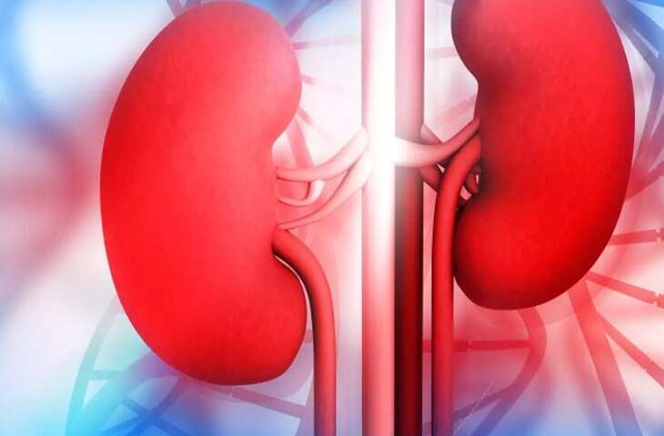 Health Warning Signs: इन आम दिखने वाले लक्षणों को नजरअंदाज करना पड़ सकता है भारी, लिवर-किडनी फेल होने का खतरा