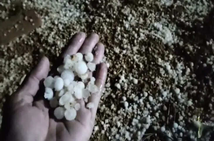 राजस्थान में पश्चिमी विक्षोभ सक्रिय, झमाझम बारिश और ओलावृष्टि ने बढ़ाई मुश्किलें