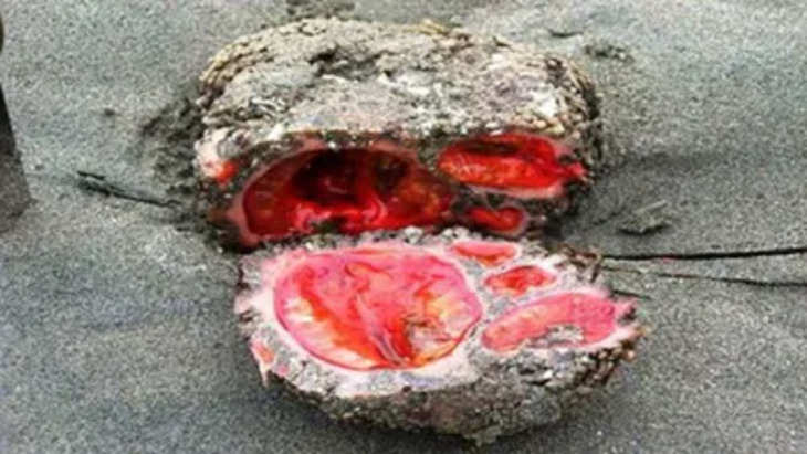 इस रहस्यमय 'पत्थर' को तोड़ते ही निकलने लगता हैं खून, कारण जानकर चौंक जाएंगे आप  !