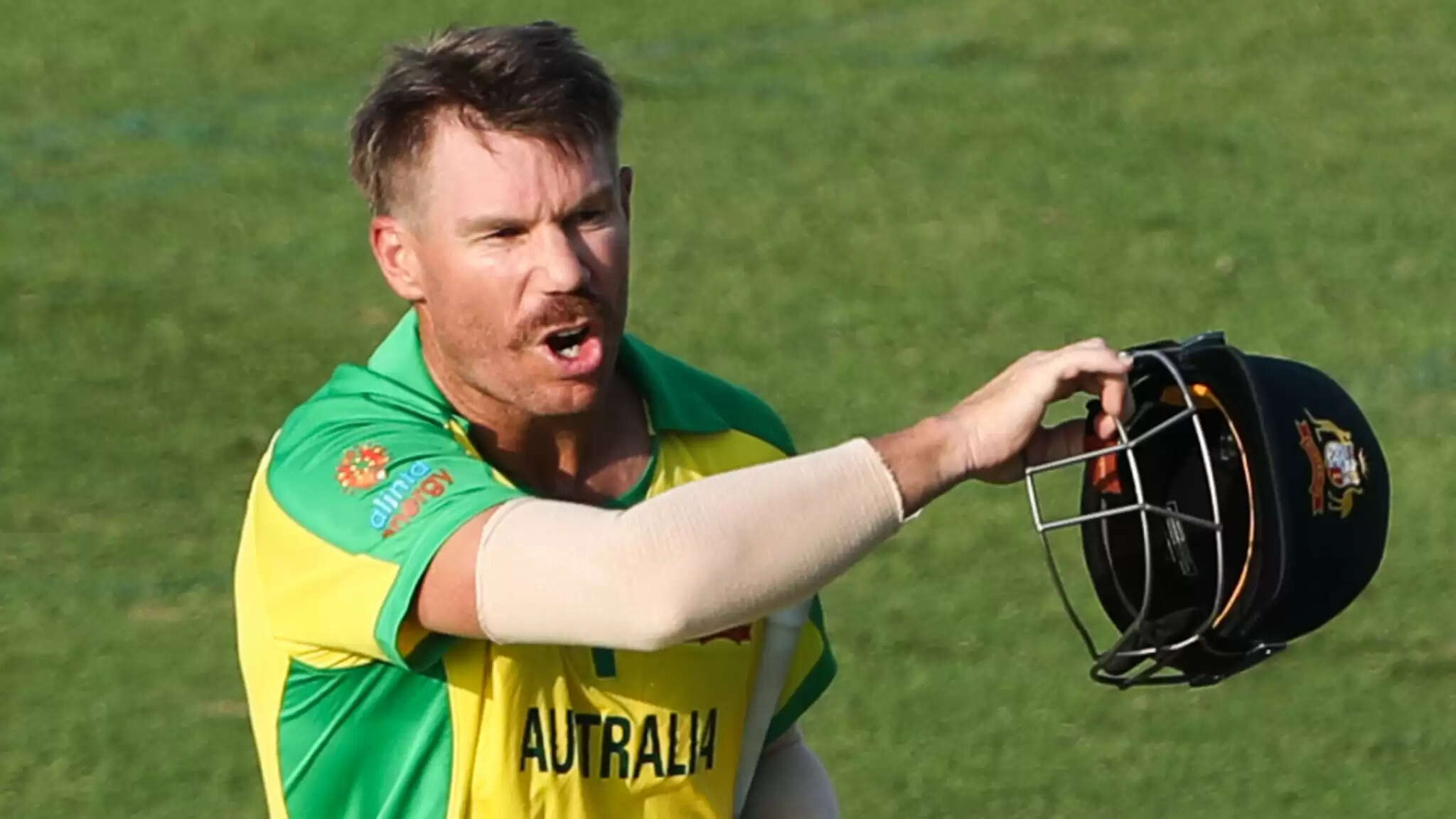 David Warner T20 WC