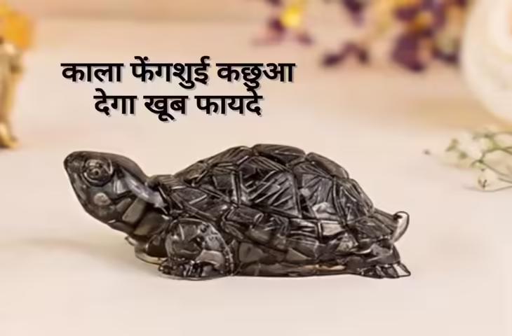 घर में काले रंग का फेंगशुई कछुआ रखने से मिलते हैं ये फायदे, जानें सही दिशा और नियम