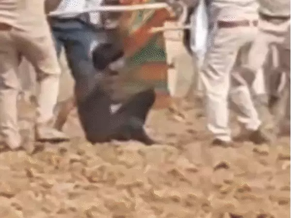 पन्ना में 30 हेक्टेयर वन भूमि पर कब्जे को लेकर बवाल, ग्रामीणों और वन-राजस्व टीम के बीच लाठी-डंडों से मारपीट