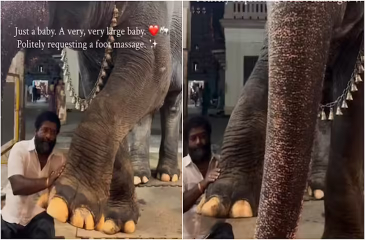 हथिनी को मिला फुट मसाज का ऐसा सुकून कि उसने आगे बढ़ा दिया दूसरा पैर, वीडियो हो रहा तेजी से वायरल