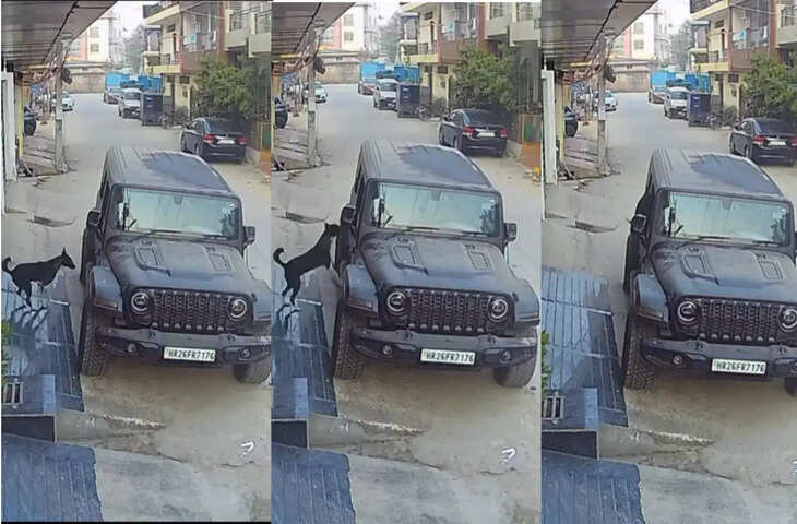 घर के बाहर खड़ी थी Thar, अचानक घुस गया कुत्ता, अंत देखकर आंखों पर नहीं होगा यकीन