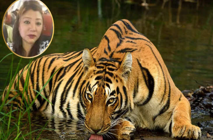 शेरों की शिकारी यांगचेन लाचुंगपा कौन? MP STSF ने चीन बॉर्डर से पकड़ा, इसको लेकर 195 देशों में था अलर्ट