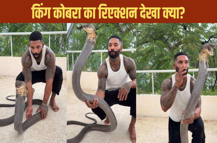 शॉकिंग स्टंट! किंग कोबरा को गले में लपेटता शख्स, वायरल वीडियो देखकर यूजर्स की निकल गई चीख&nbsp;