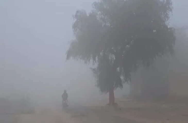 राजस्थान में वेस्टर्न डिस्टरबेंस का असर, वीडियो में जाने कुछ जिलों में हल्की बारिश और ओले, तापमान में गिरावट से राहत