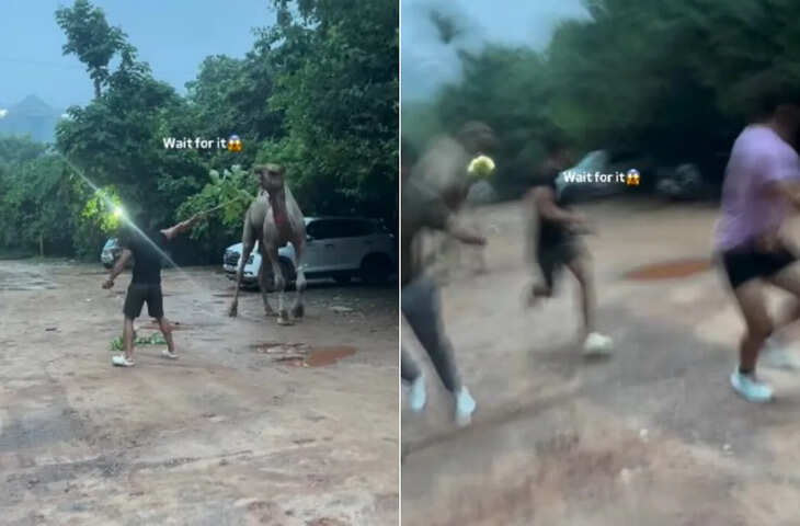 Viral Video: ऊंट के पास शरारत लड़के को शरारत करना पड़ा भारी, अंजाम देख आपकी भी नहीं रुकेगी हंसी&nbsp;