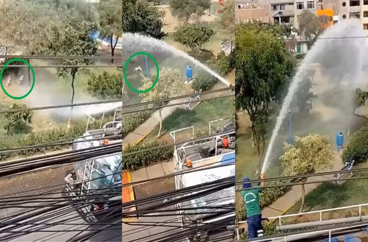 Viral Video: तपती सड़क पर प्यासे कुत्तों के लिए ट्रक बना राहत का जरिया, वीडियो देखकर भावुक हुए लोग
