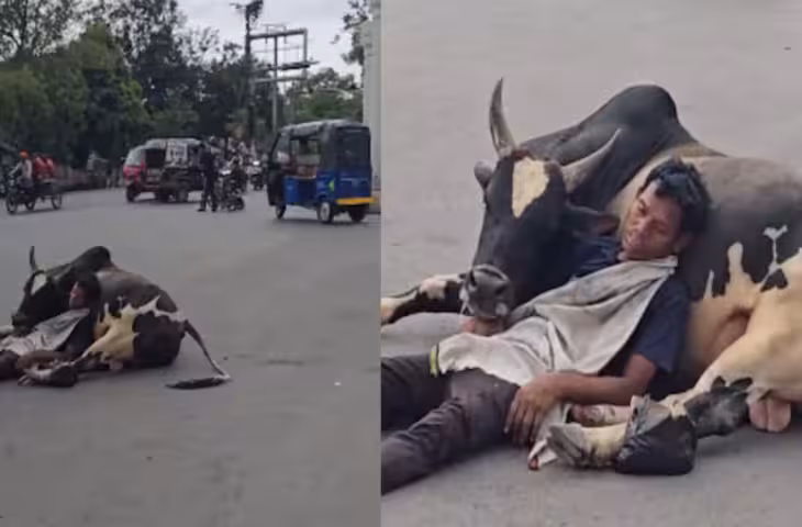 सांड की गोद में सिर रखकर सोया शख्स, सड़क पर दिखा अनोखा नजारा; वायरल वीडियो देख हैरान हुए लोग