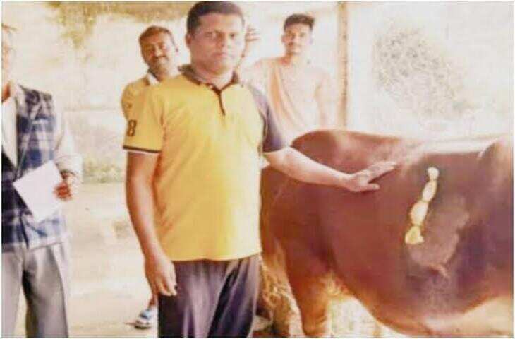 गाय के पेट में चुंबक डालकर निकाली गईं कीलें, पशु चिकित्सकों की सूझबूझ से बची जान