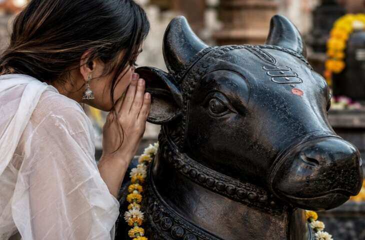 Nandi Maharaj Ke Kaan Mein Manokamna: शिव मंदिर में नंदी के कान में इच्छा बोलने का क्या है सही तरीका? जानिए धार्मिक मान्यताएं और नियम