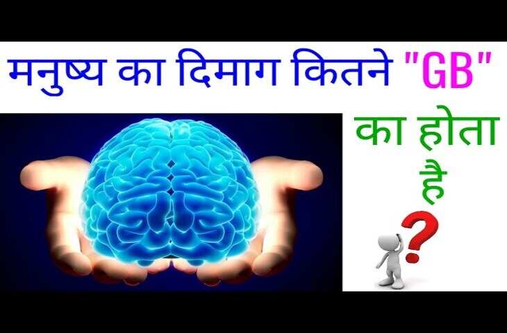 इंसानी दिमाग की ताकत जान रह जाएंगे दंग, जाने&nbsp;एक स्वस्थ मस्तिष्क में कितनी जानकारी हो सकती है स्टोर&nbsp;