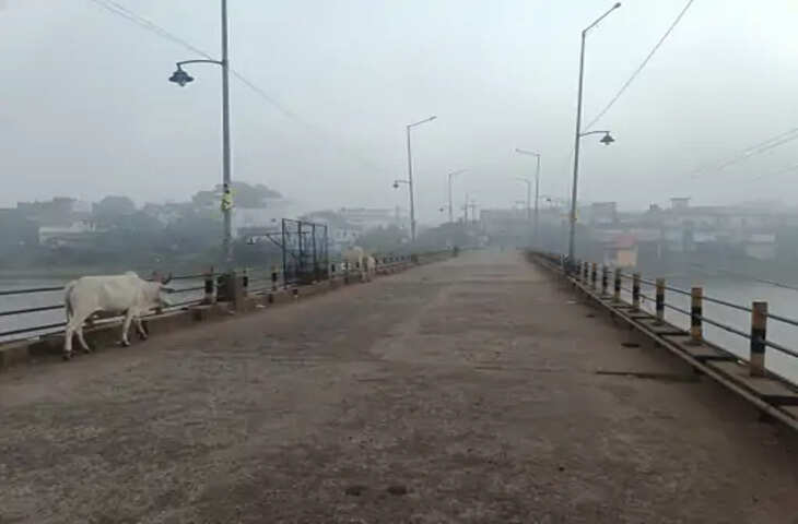 डिंडोरी में घना कोहरा, विजिबिलिटी 20 मीटर तक गिरी: दिन में भी लाइट जलाकर चले चालक; किसानों ने कहा-रबी फसलों को मिलेगा फायदा
